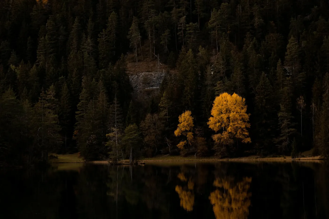 Forêt d’automne au bord d’un lac, reflet des arbres dans l’eau